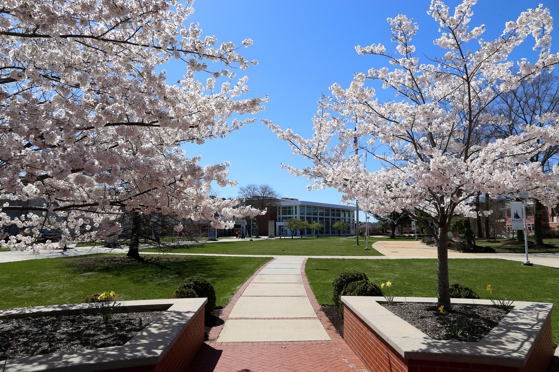 ocean county college campus mall in the spring